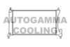 AUTOGAMMA 103760 Radiator, engine cooling